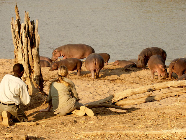 Smekmånad i Zambia