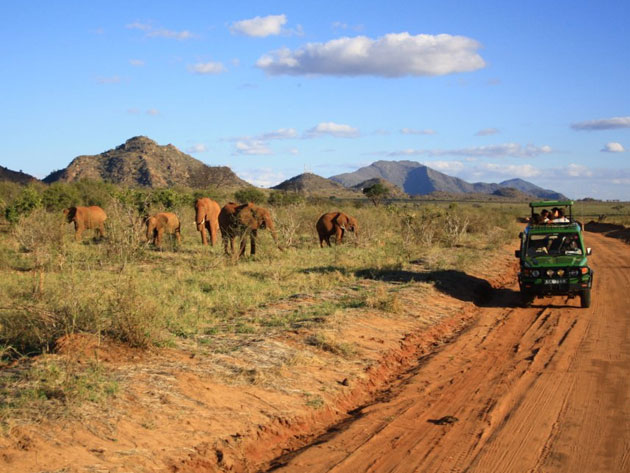 Safari i Kenya