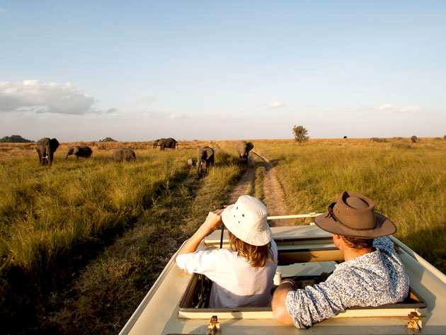 Safari i Tanzania